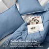 Twin / Twin XL 2-Piece Down Alternative Comforter Set in Blue