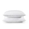 Set of 2 Machine Washable Down Feather Blend Pillow
