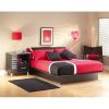 Modern Platform Bed Frame in Black Finish