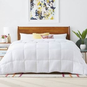 Cozy All Seasons Plush White Polyester Down Alternative Comforter (Color: White, size: Twin)