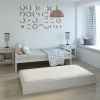 Dorm Style Trundle Daybed Platform Bed Frame