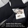 Super Soft Microfiber Down Alternative Comforter Set