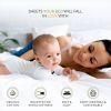 Certified Organic Cotton Sheet Set