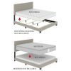 Gold Metal Canopy Bed with Upholstered Button-Tufted Headboard